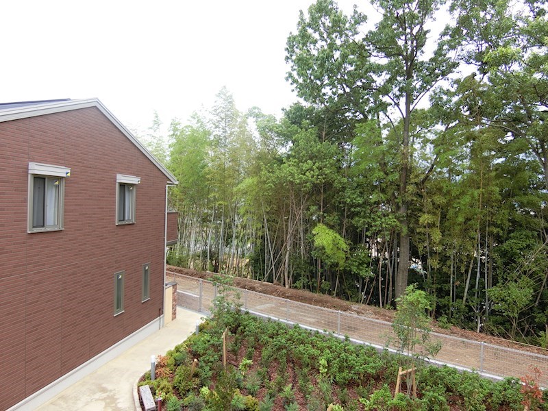 オースター　アベリア その他18