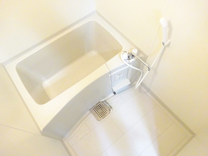 ブエナビスタ和泉中央  風呂画像