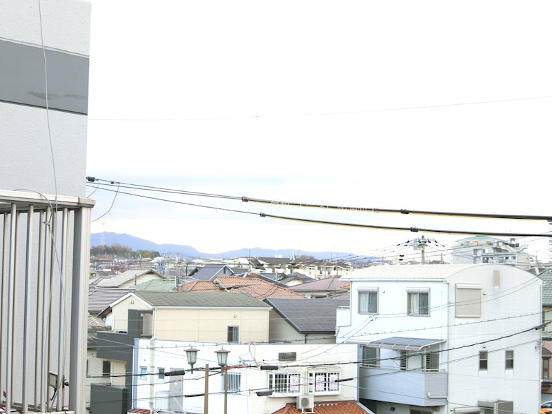 パイン・リバーⅠ その他5