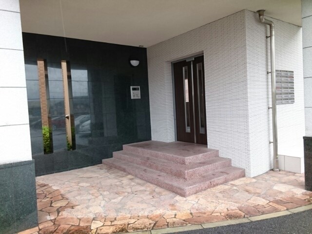 ジン その他外観2