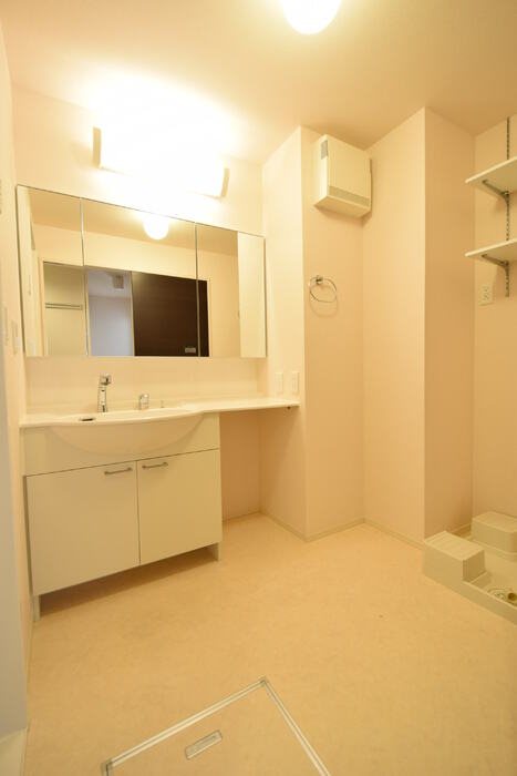 ロコ・ソラーレ その他1