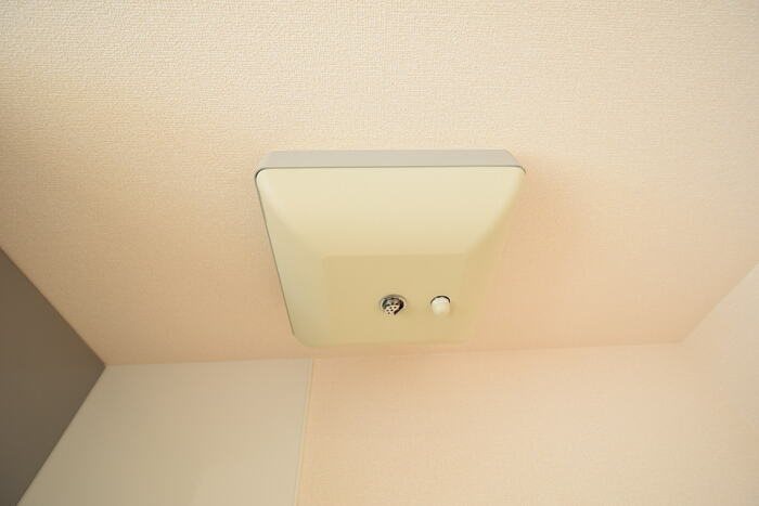 ロコ・ソラーレ その他7