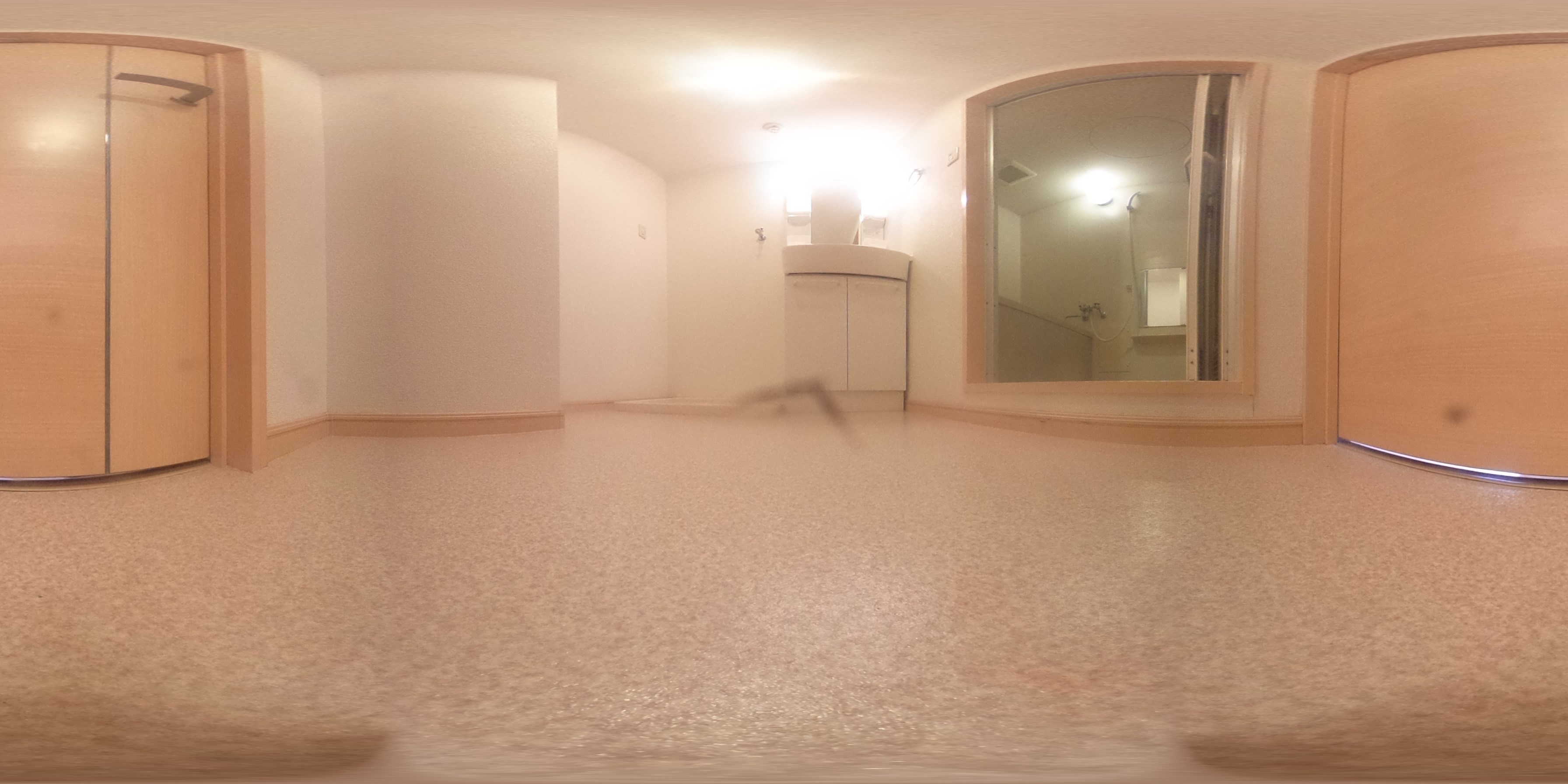 シャンブル21 洗面所