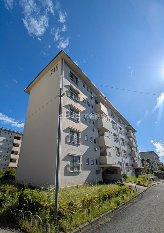 金剛第三住宅216棟  外観