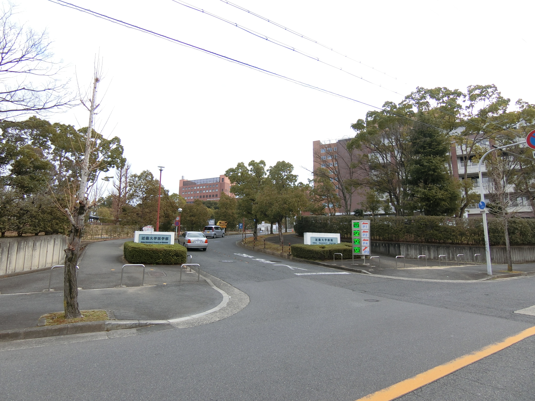 帝塚山パークハイツ 周辺画像5