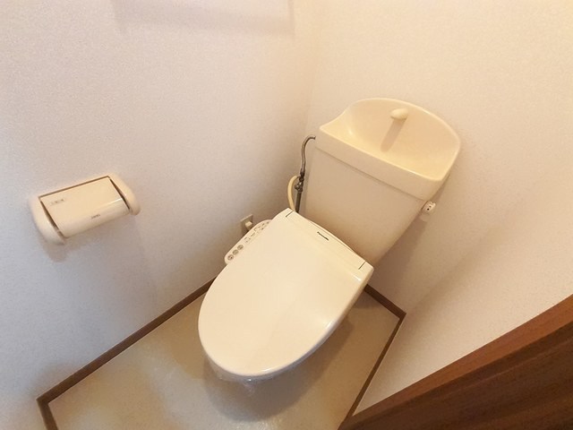 コスモスB その他1