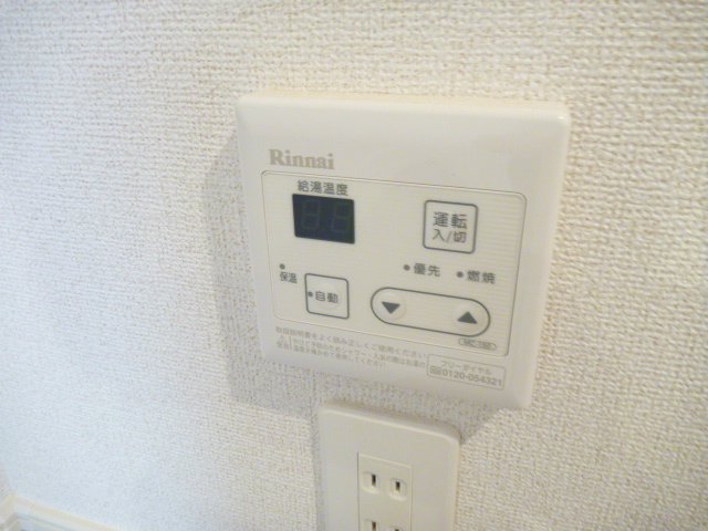 グレイスヴィオラ その他10
