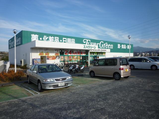 高橋ハイツ ドラッグストア