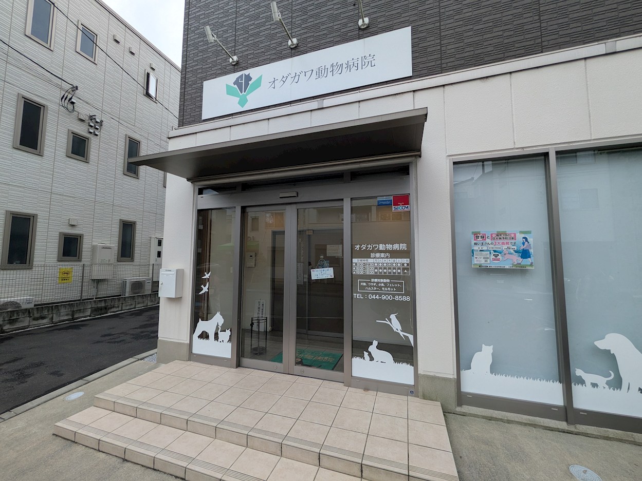 アノイエ 東棟 その他