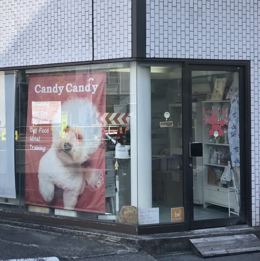 アノイエ 東棟 その他