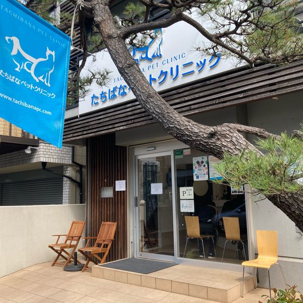 Casa Tigre  その他