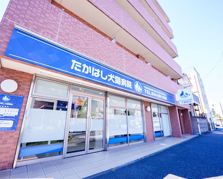 Advantage 24 その他