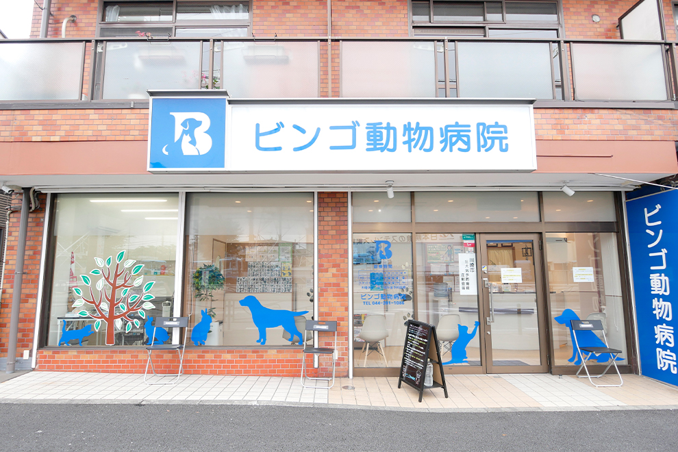 ラムール・ド・センケイ その他