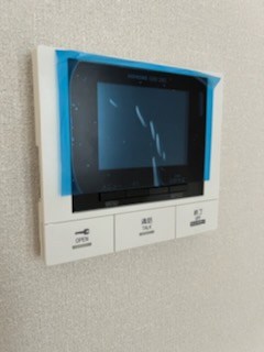 コーネリアス セキュリティ