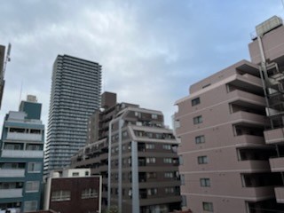 コーネリアス 眺望