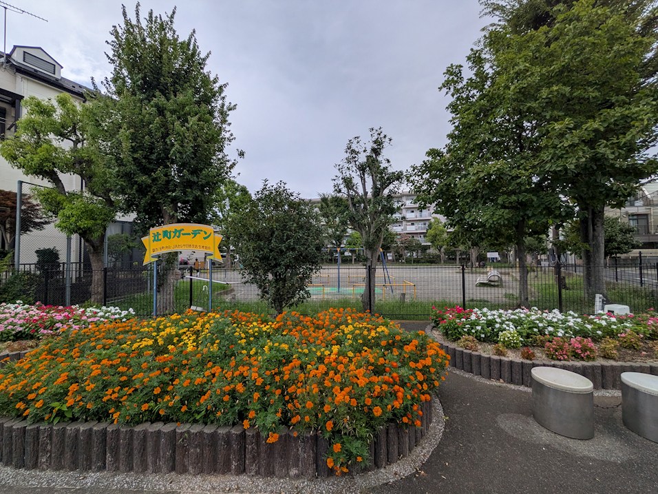 クロープ辛夷 公園