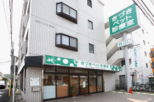 avenir K その他