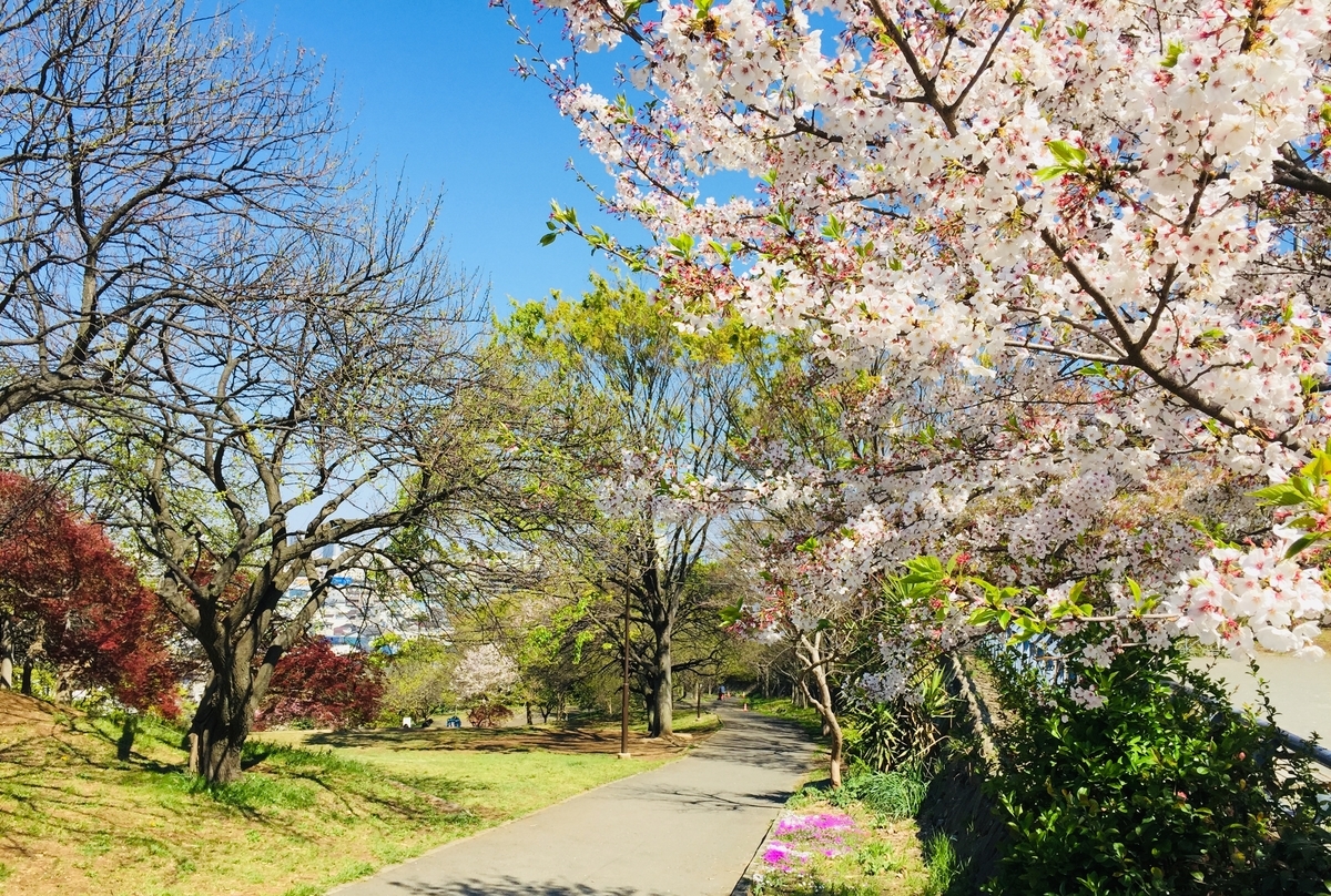 avenir K 公園