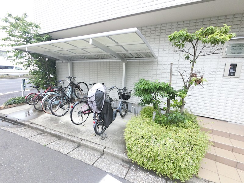 Forest Ask その他