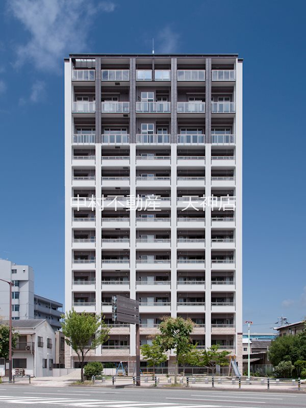 コンプレートSEKIJOU その他