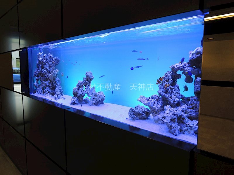 グランフォーレ大名プレミア その他