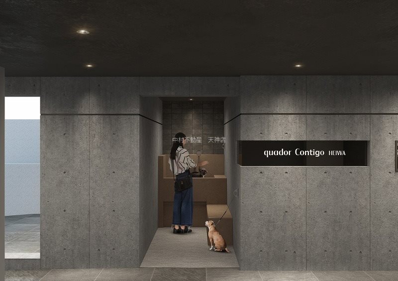 quador Contigo平和 その他