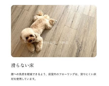 quador Contigo平和 その他