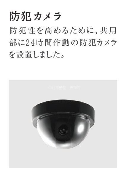 quador Contigo平和 その他