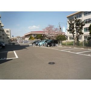 セレッソHARA その他