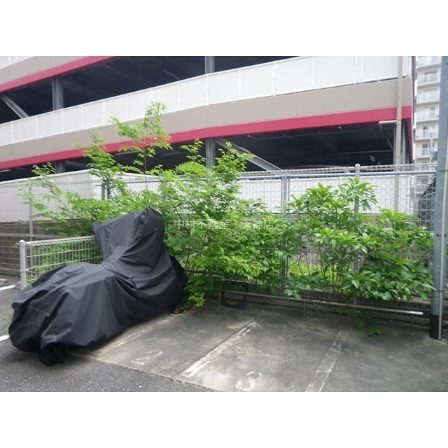 ラクレイス大橋 外観