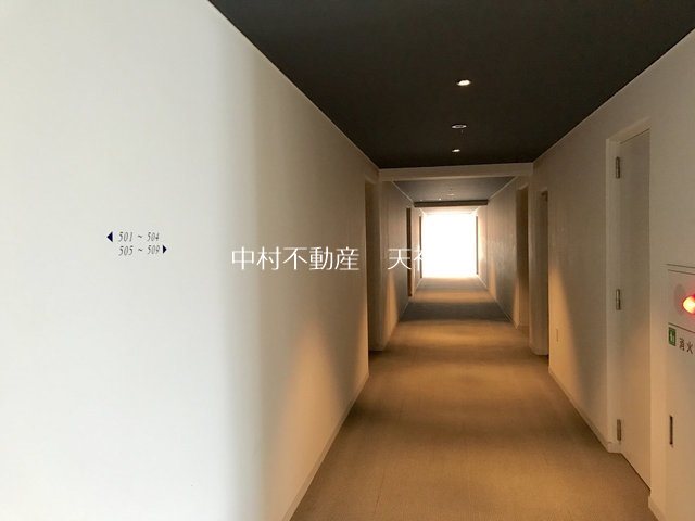 リングローブ その他
