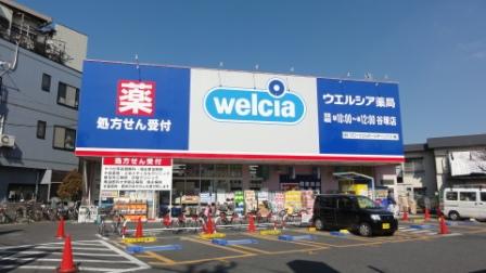 エクセル谷塚 周辺画像2