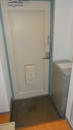 ドミール谷塚Ⅱ その他1