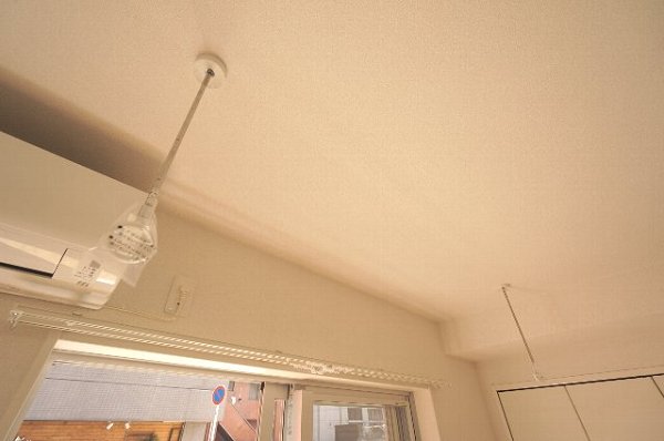 ミリアビタ№25 その他4