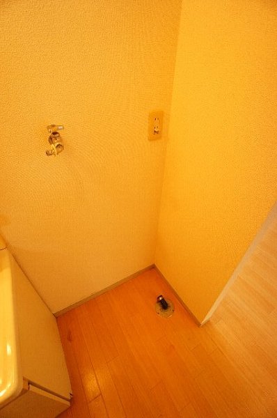 ポルクⅤ その他4