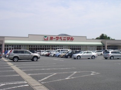 栃木県宇都宮市駒生町３３６４－５２ スーパー