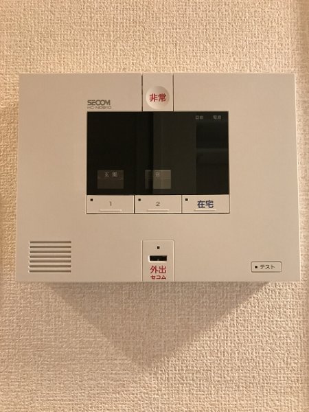 レイノー セキュリティ