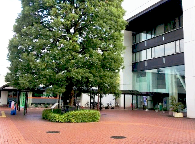 グリフィンドールＣ 大学・短大