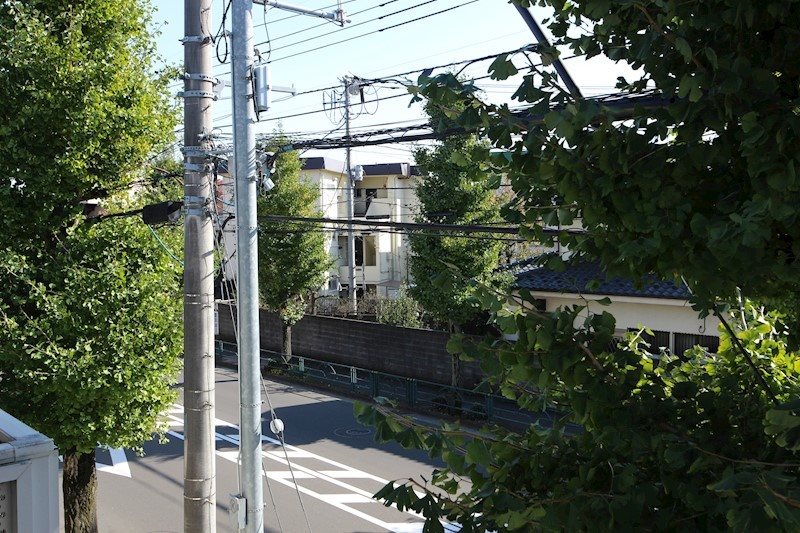 casaverdeA 眺望