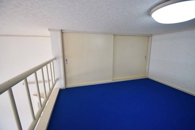 ドルフ東海大 その他4