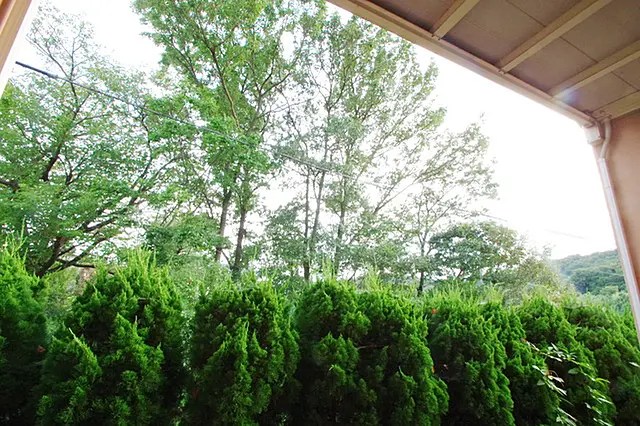 グリーンフォレスト その他6