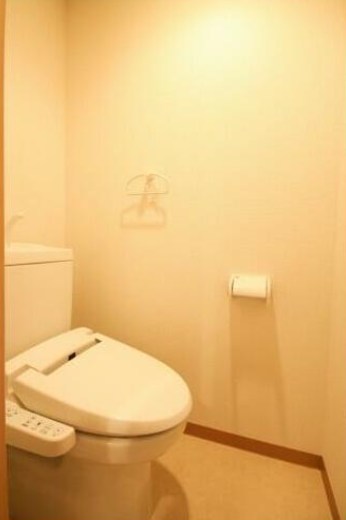 エバーグリーン その他2