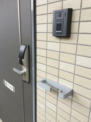 エバーグリーン その他3