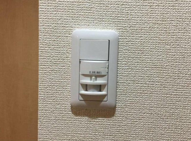 エバーグリーン その他5