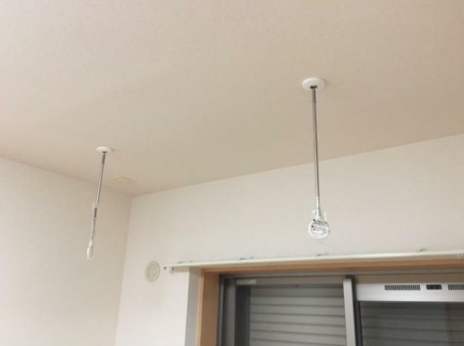 エバーグリーン その他6