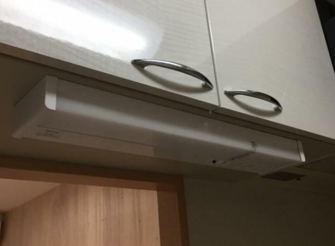 エバーグリーン その他7