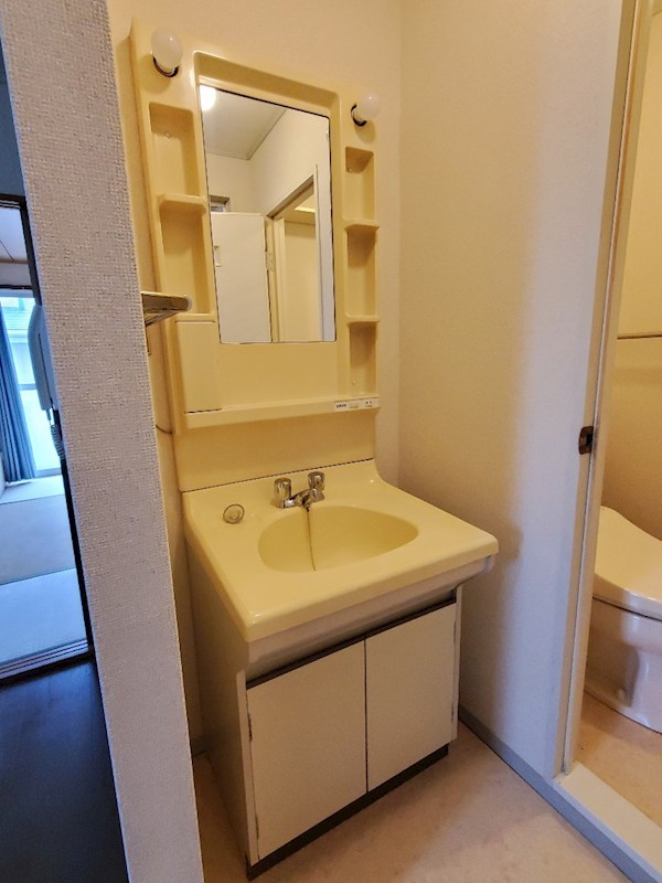 洗面所 ストーンリバーA棟 その他5