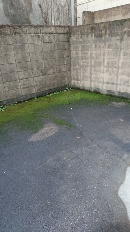 コスモハイツ今出川 その他1