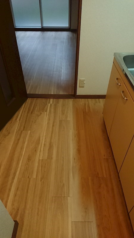 コスモハイツ今出川 その他2