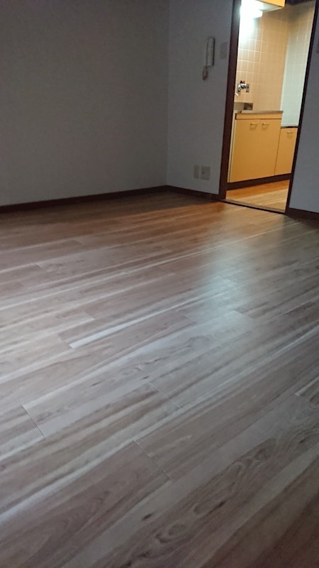 コスモハイツ今出川 その他12